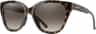 Colour: Vintage Tortoise - Polarized Brown Gradient