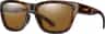 Colour: Tortoise - Chromapop Glass Polarized Brown Lense