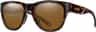 Colour: Chromapop Polarized Brown - Tortoise