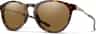 Colour: Tortoise - Chromapop Polarized Brown