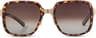 Colour: Tortoise - Polarized Brown Gradient