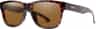 Couleur: Tortoise - Chromapop Glass Polarized Brown Lense