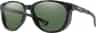 Colour: Matte Ash Tortoise - Chromapop Polarized Gray Green
