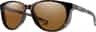 Colour: Tortoise - Chromapop Polarized Brown