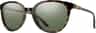 Couleur: Alpine Tortoise - Chromapop Polarized Gray Green Lense