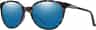 Couleur: Sky Tortoise - Chromapop Polarized Blue Mirror Lense