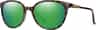 Colour: Tortoise - Chromapop Polarized Green Mirror