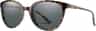 Couleur: Vintage Tortoise - Polarized Gray