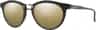 Colour: Matte Ash Tortoise - Polarized Gold Mirror
