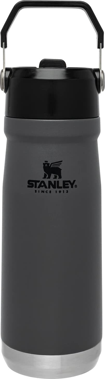 Product image for The IceFlow Flip Straw Water Bottle - 650mL