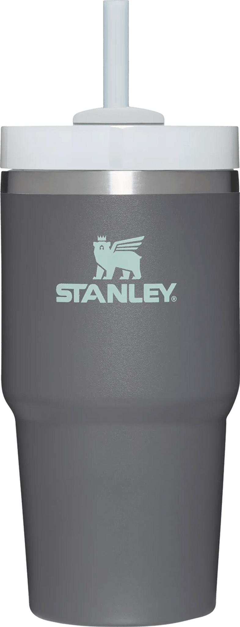 Image de produit pour Gobelet The Quencher H2.0 FlowState 600ml