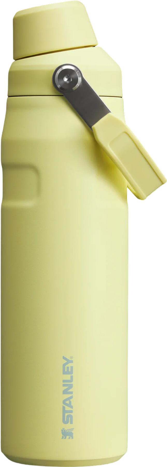 Product image for Bouteille The Iceflow Fast Flow 0.7L