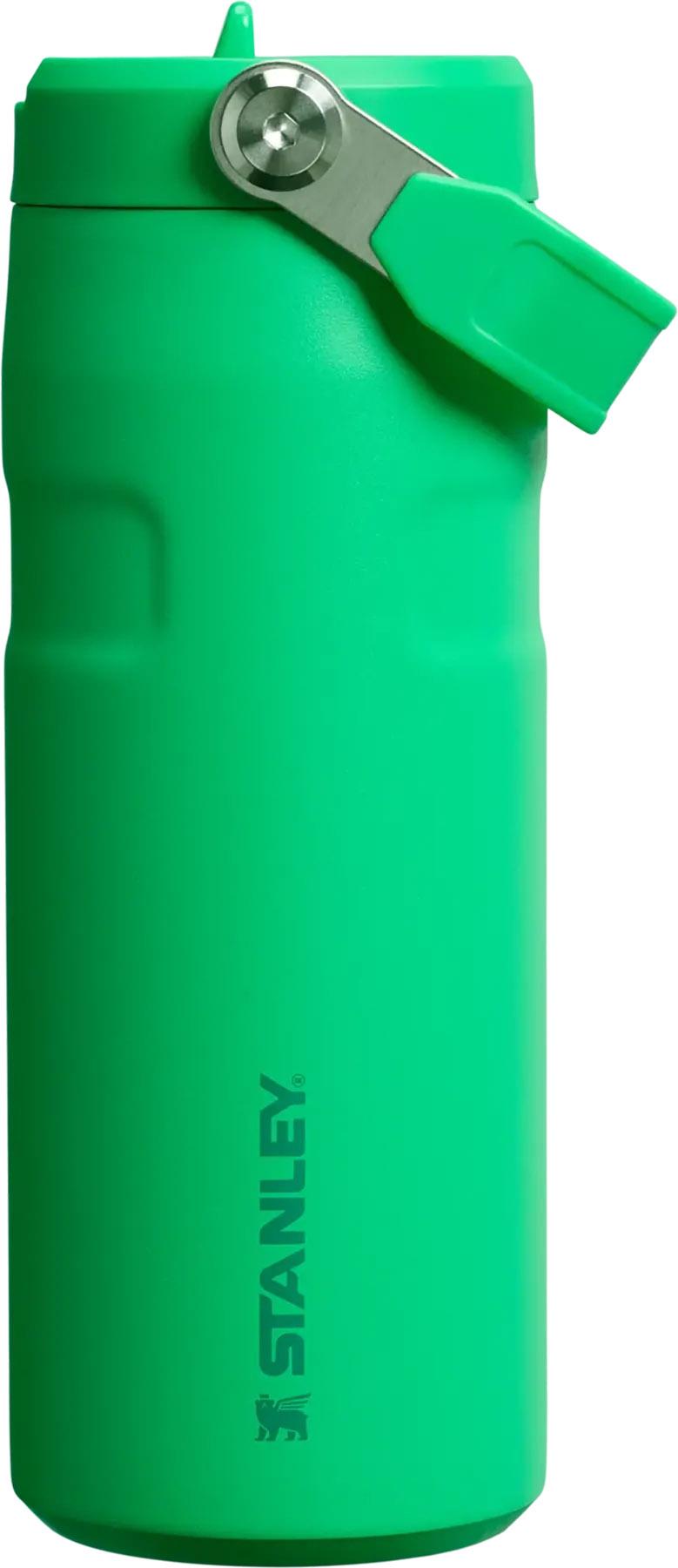 Product image for The IceFlow Bottle with Flip Straw 2.0 Lid 0.47L/16oz