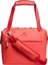 Colour: Hot Coral