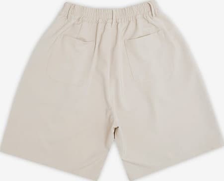 Product gallery image number 2 for product Calculus Baggy Pleated Shorts - Unisex