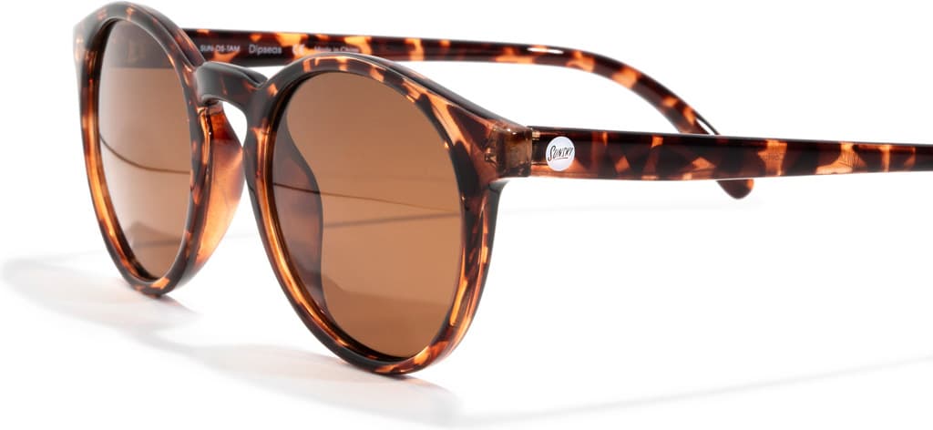 Product gallery image number 4 for product Dipsea Sunglasses