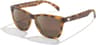 Couleur: Turtoise Brown