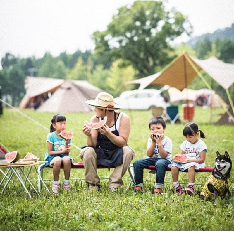 Product gallery image number 3 for product Folding Bench