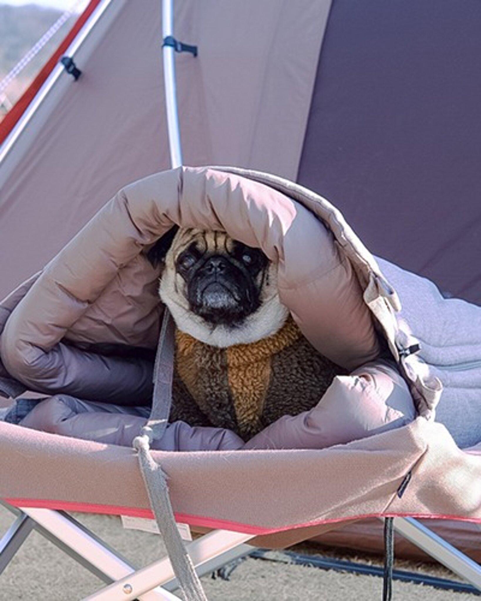 Product gallery image number 2 for product Ofuton Dog Sleeping Bag