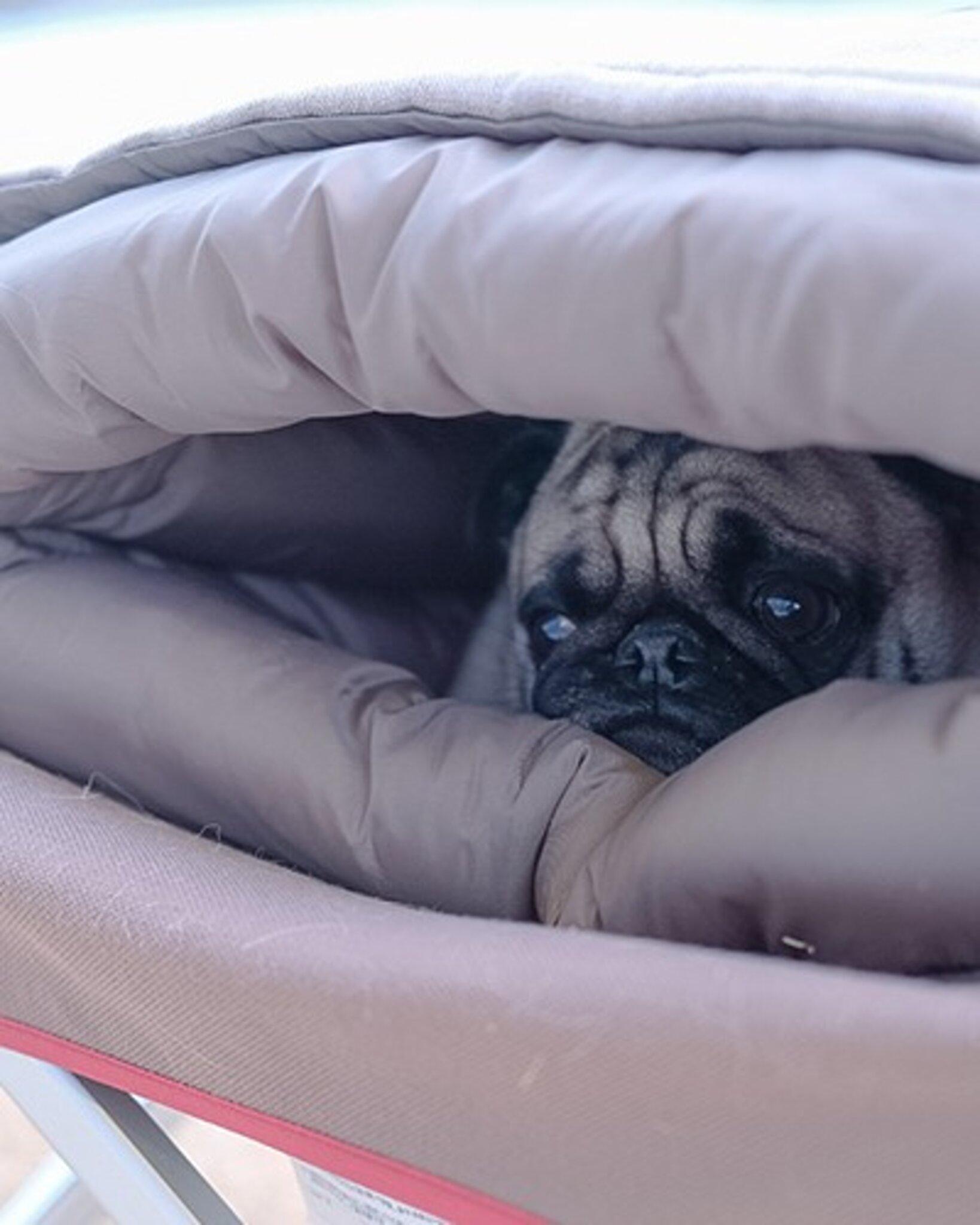 Product gallery image number 7 for product Ofuton Dog Sleeping Bag