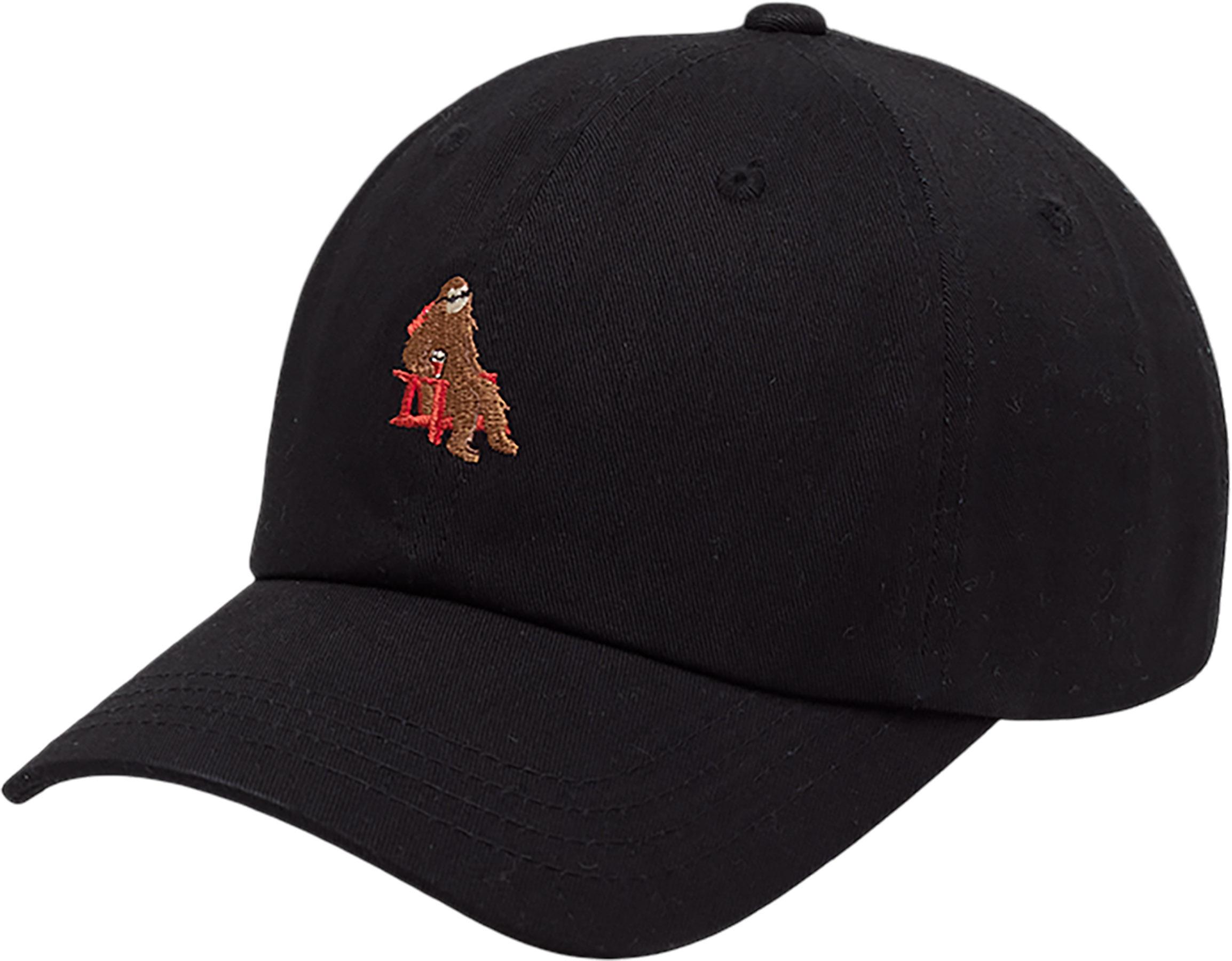 Product image for Sasquatch Peak Hat - Unisex