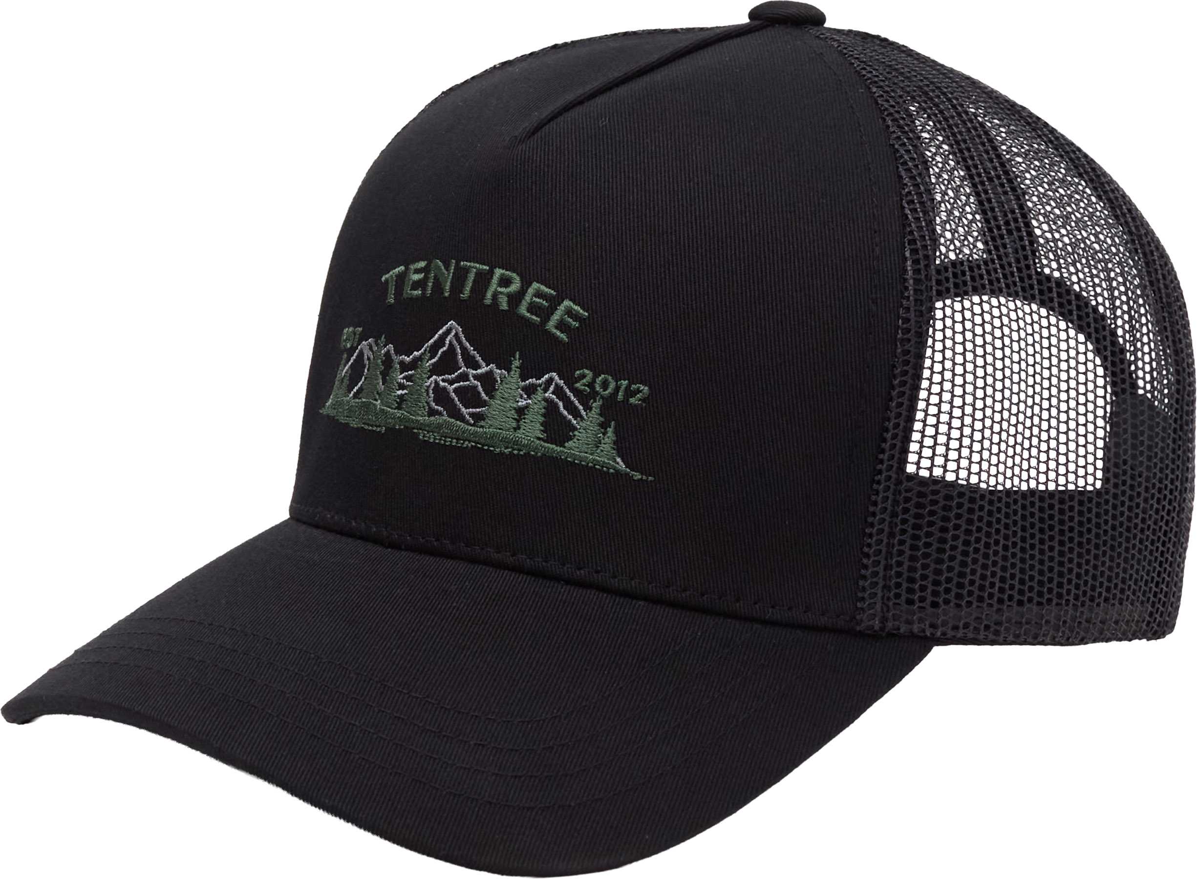Meteorite Black - Ashwood
