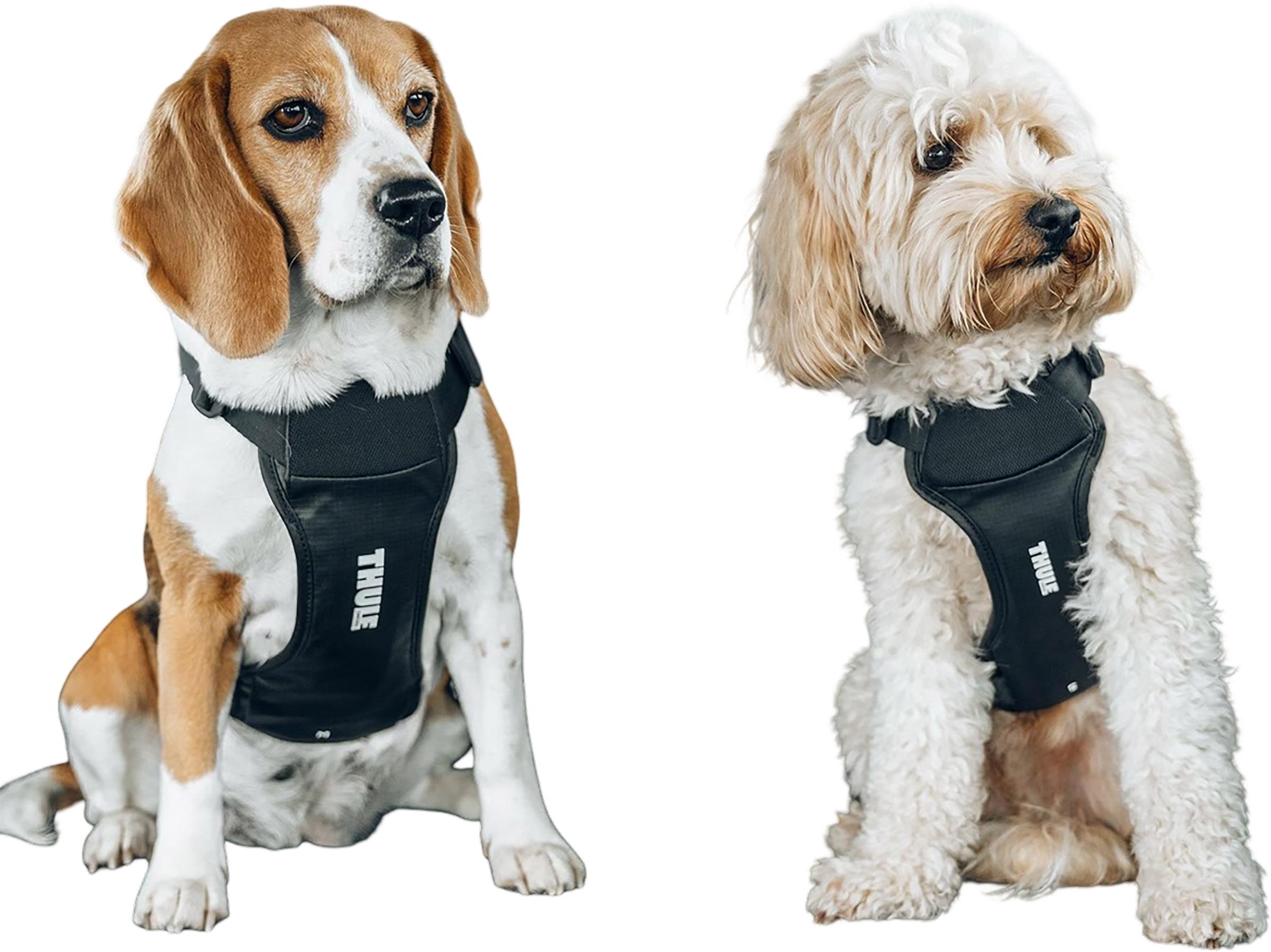 Numéro de l'image de la galerie de produits 7 pour le produit Harnais voiture pour chien Cappy - M