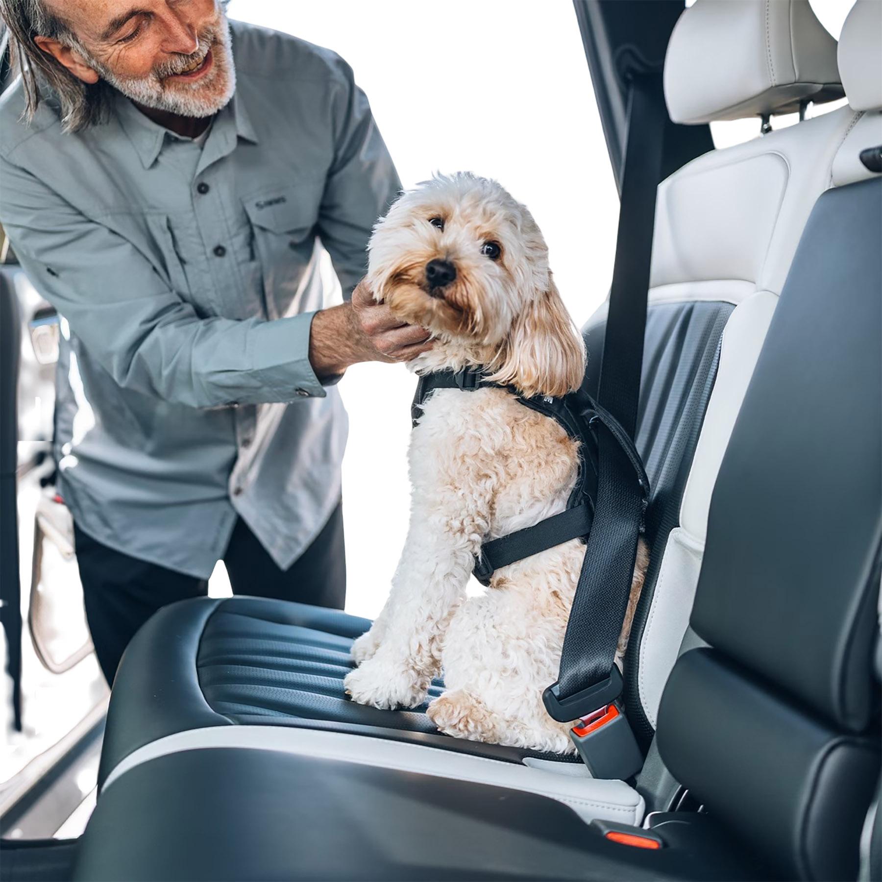 Numéro de l'image de la galerie de produits 5 pour le produit Harnais voiture pour chien Cappy - M