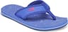 Couleur: Stellar Blue - Cabaret Pink