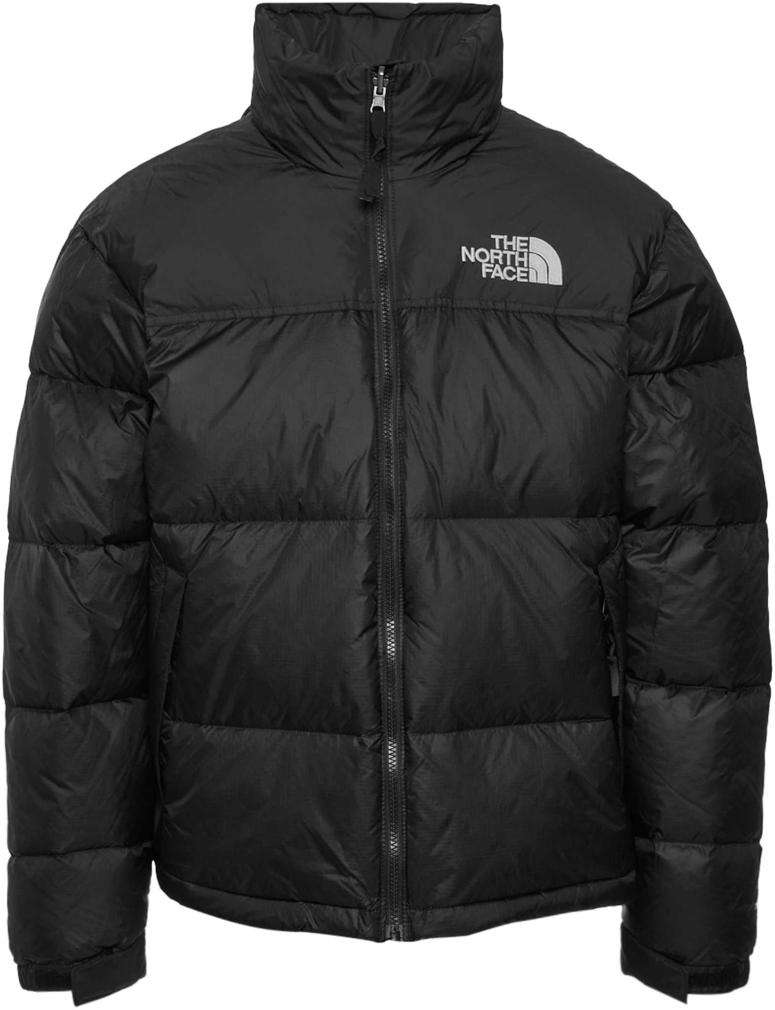 Recycled TNF Black - NPF