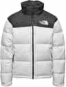 Colour: TNF White - TNF Black