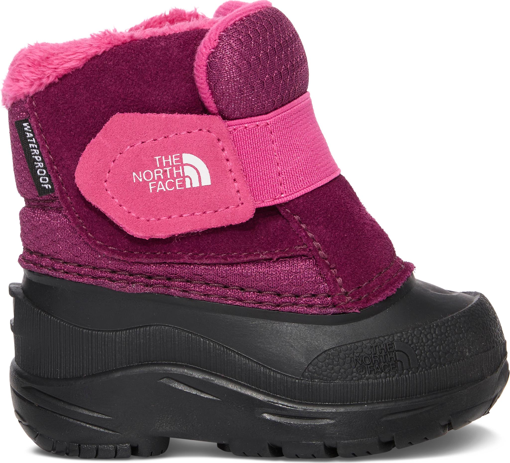 Boysenberry - TNF Black