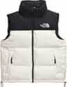 Colour: White Dune - TNF Black