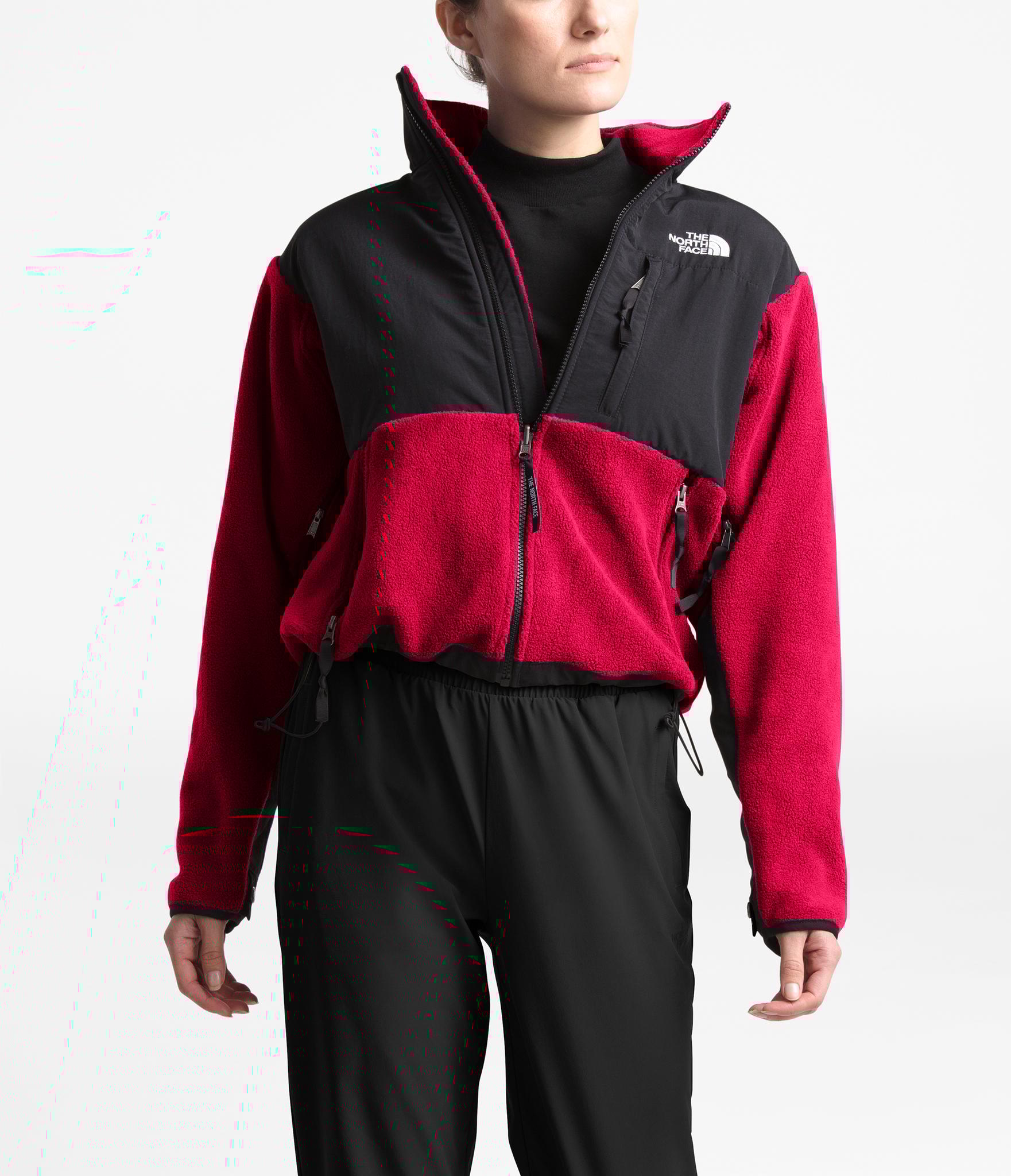 Product gallery image number 4 for product 95 Retro Denali Jacket - Women's