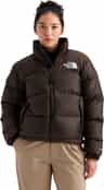 Colour: Dark Chestnut