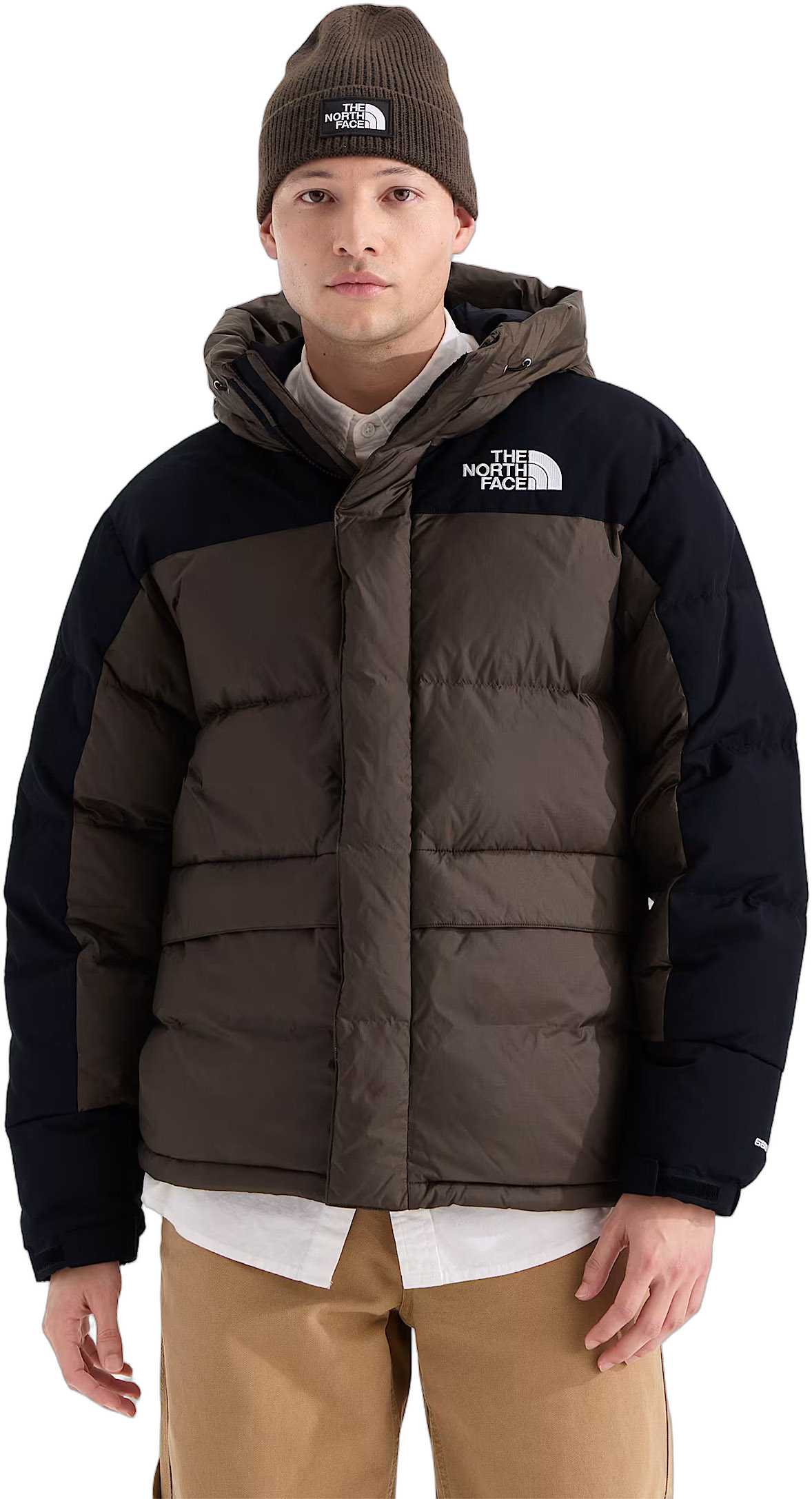 Dark Chestnut - TNF Black