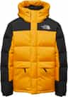 Colour: Summit Gold - TNF Black