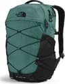 Couleur: Dark Sage - Tnf Black