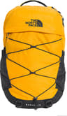 Couleur: Summit Gold - TNF Black - NPF
