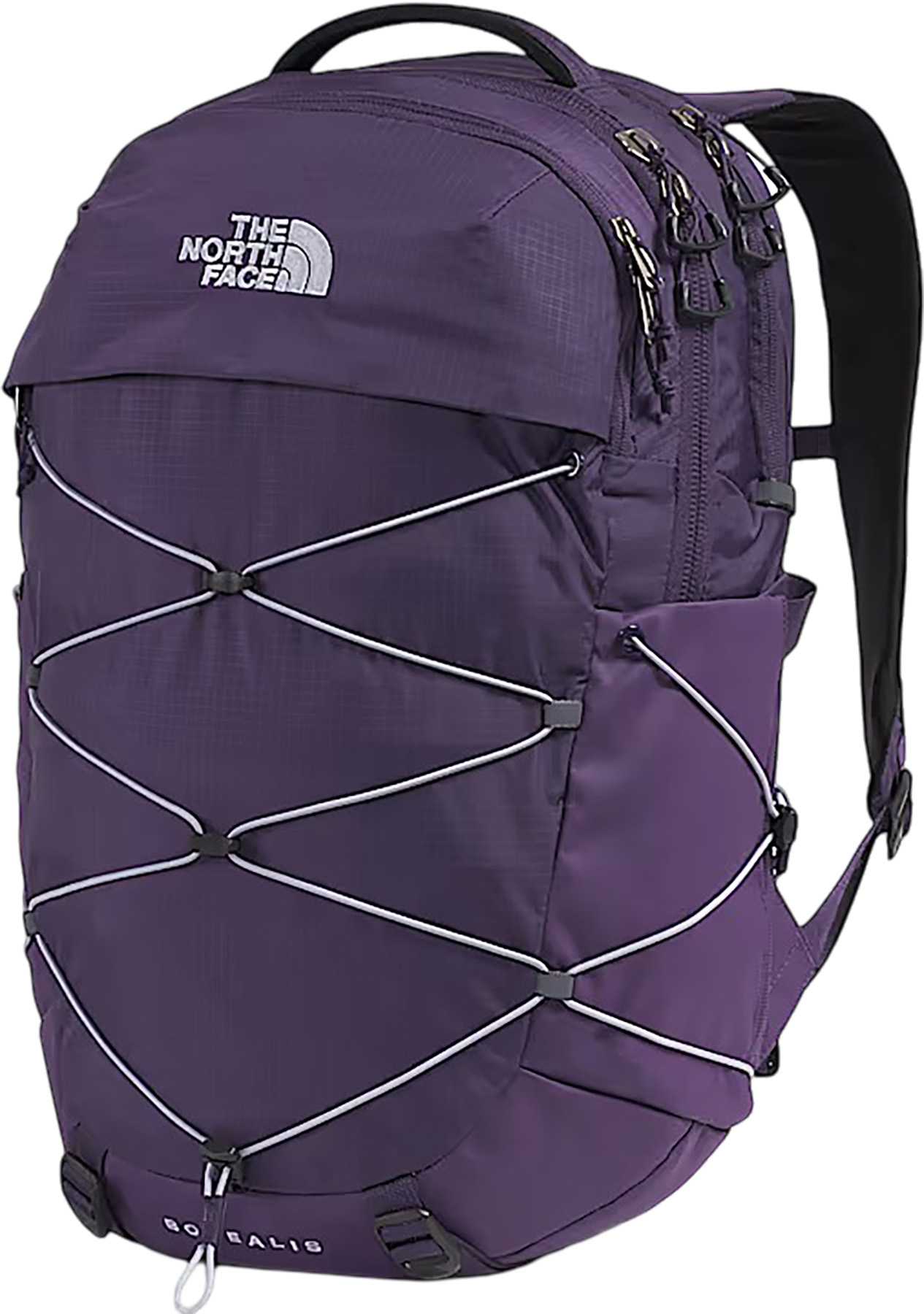 Eternal Purple - Blue Flax