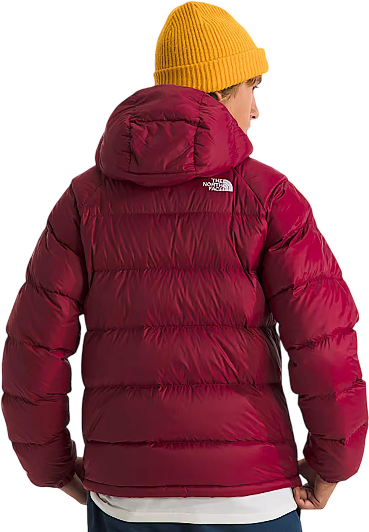 Numéro de l'image de la galerie de produits 2 pour le produit Chandail à capuchon en duvet Hydrenalite - Homme