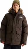 Colour: Dark Chestnut