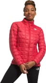 Colour: Clay Red