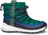 Colour: TNF Black - Ponderosa Green