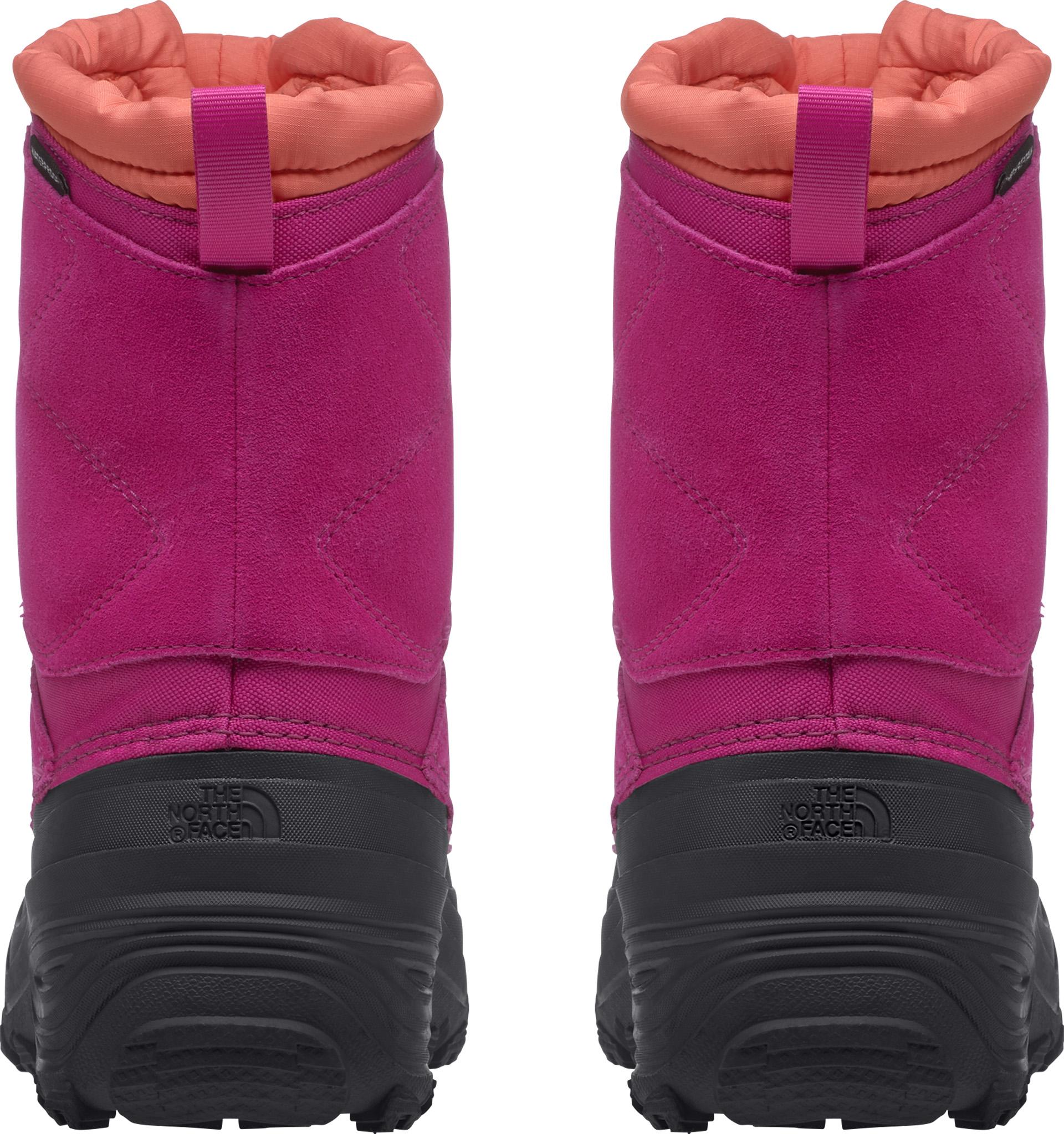 Numéro de l'image de la galerie de produits 2 pour le produit Bottes imperméables Alpenglow V - Jeune