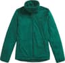 Colour: Evergreen