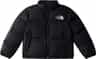 Colour: Recycled Tnf Black