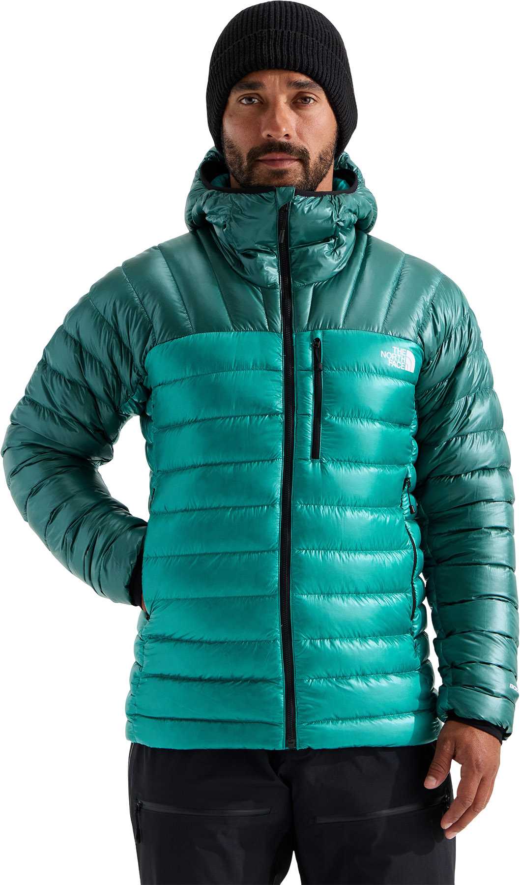 Restorative Teal - Pacific Teal