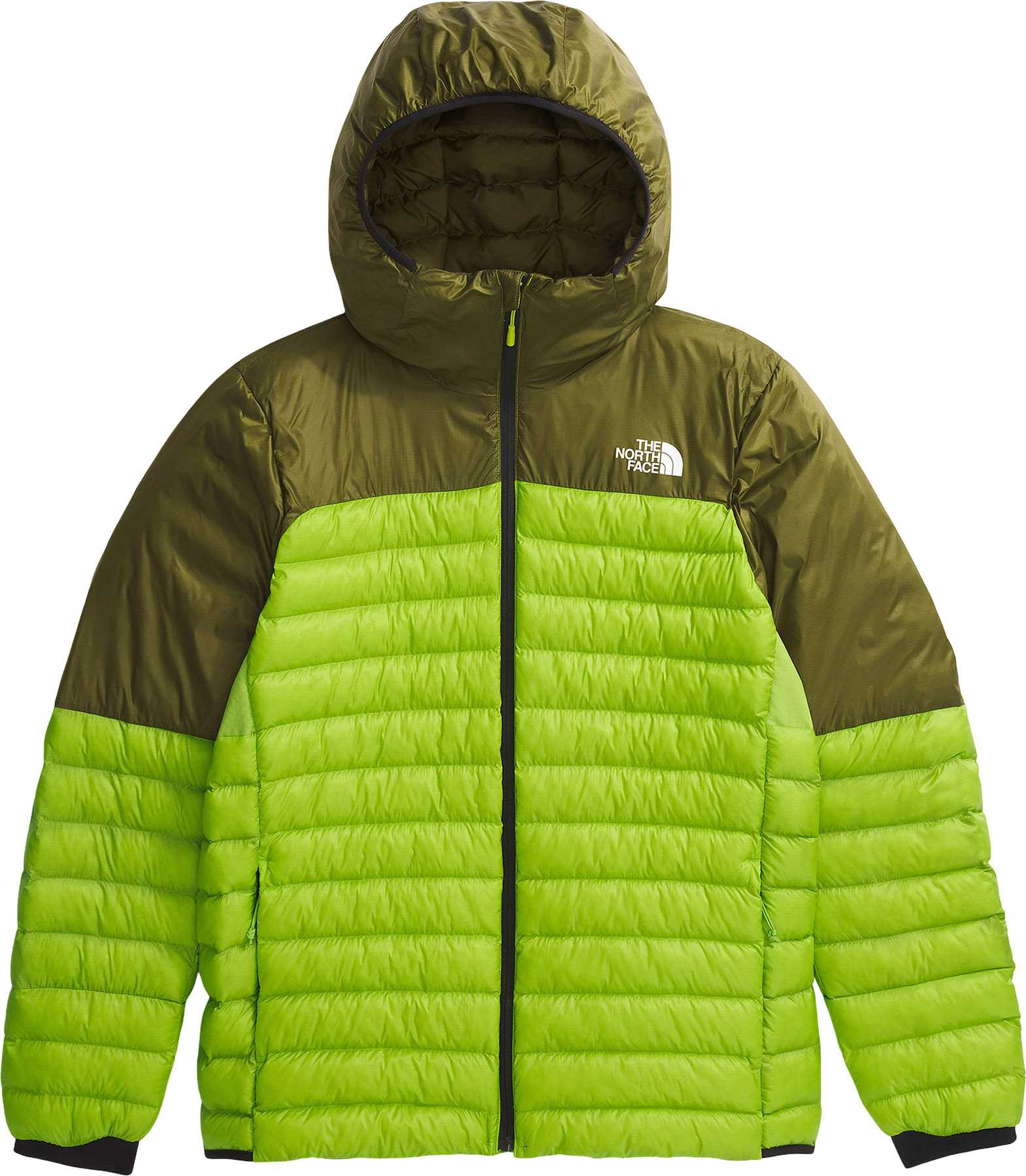 Meadow Grass - Forest Olive