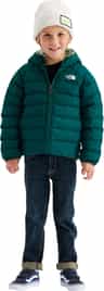 Colour: Pacific Teal